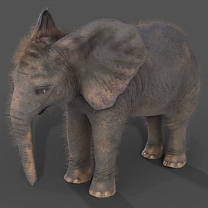 Fur Baby Elephant NO Rigged in Blender