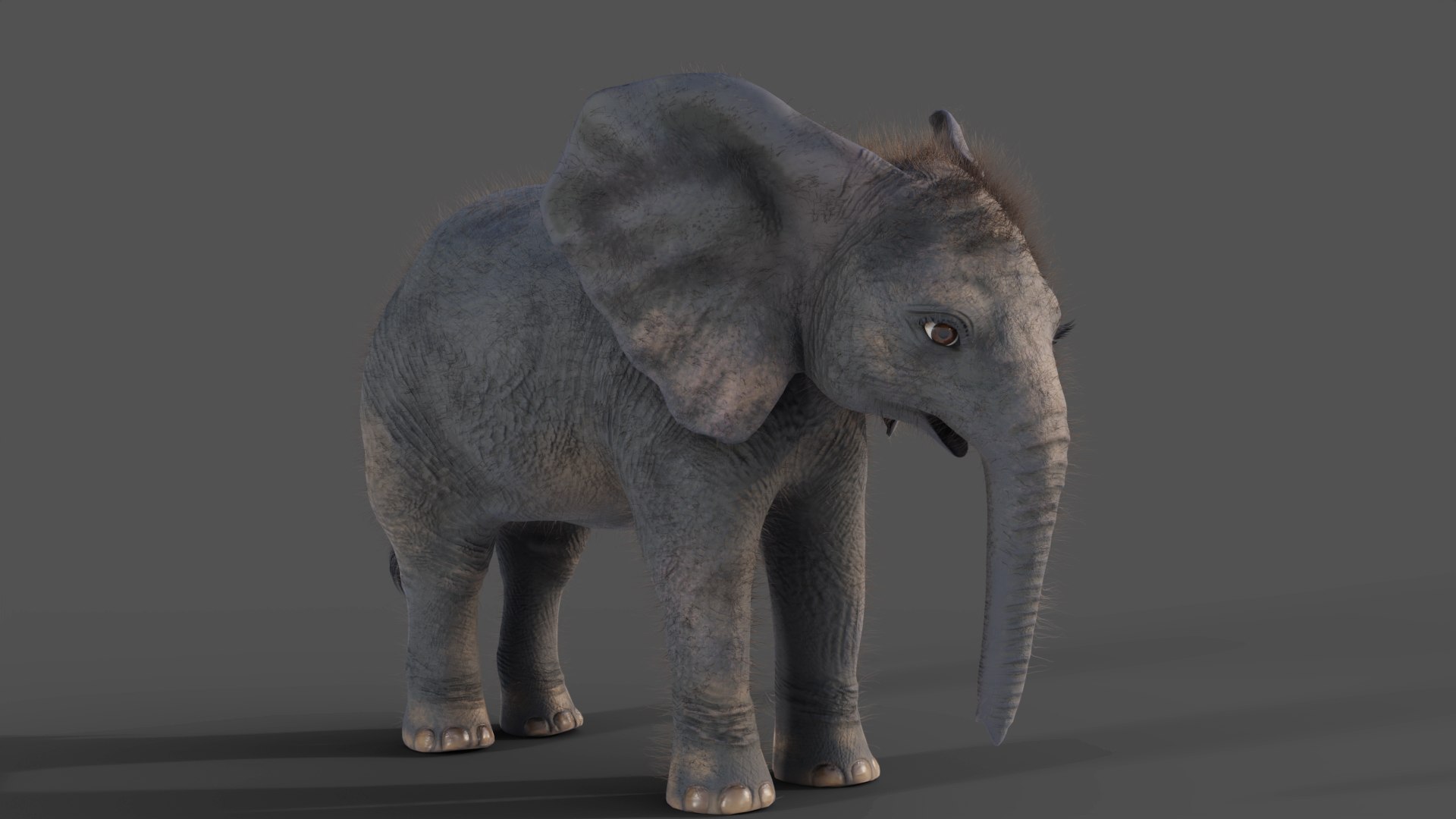 3D Fur Baby Elephant NO Rigged in Blender https://p.turbosquid.com/ts-thumb/tx/uIHW4h/OR/08/jpg/1661586089/1920x1080/fit_q87/ba85e32e870d421105df477c17fccdd6eb9ef8a9/08.jpg