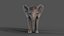 Fur Baby Elephant NO Rigged in Blender