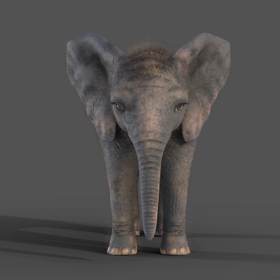 3D Fur Baby Elephant NO Rigged in Blender https://p.turbosquid.com/ts-thumb/tx/uIHW4h/Td/insta04/jpg/1661586075/1920x1080/fit_q87/c08b9f71557759650cbabed26099cf3cfe2dceeb/insta04.jpg