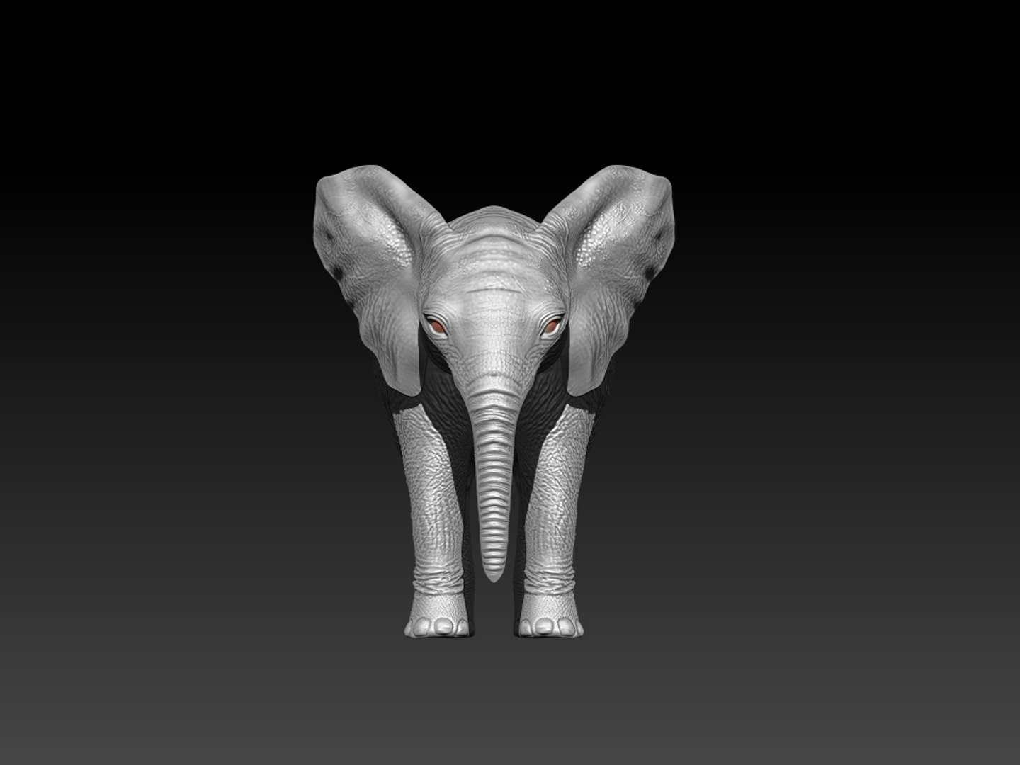 3D Fur Baby Elephant NO Rigged in Blender https://p.turbosquid.com/ts-thumb/tx/uIHW4h/lM/zbrush1/jpg/1661586099/1920x1080/fit_q87/d2eceb072fce80f0ad2f0f7722db9664a3bc1f48/zbrush1.jpg