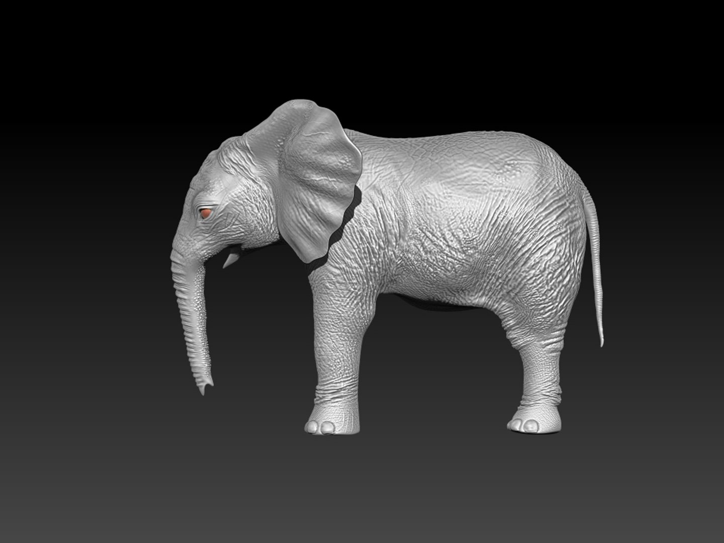 3D Fur Baby Elephant NO Rigged in Blender https://p.turbosquid.com/ts-thumb/tx/uIHW4h/qI/zbrush5/jpg/1661586101/1920x1080/fit_q87/ae2d5059e00c10e9d5a6da29f489e48d38987cd9/zbrush5.jpg
