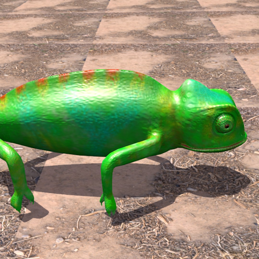 3d main blender https://p.turbosquid.com/ts-thumb/tx/v0uuKU/L67Gfc9I/wffwwf/png/1481922369/1920x1080/fit_q87/15ff052854f7aff54a03af6090b1d8be2f1a3eb8/wffwwf.jpg