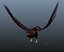 animations eagle 3D model