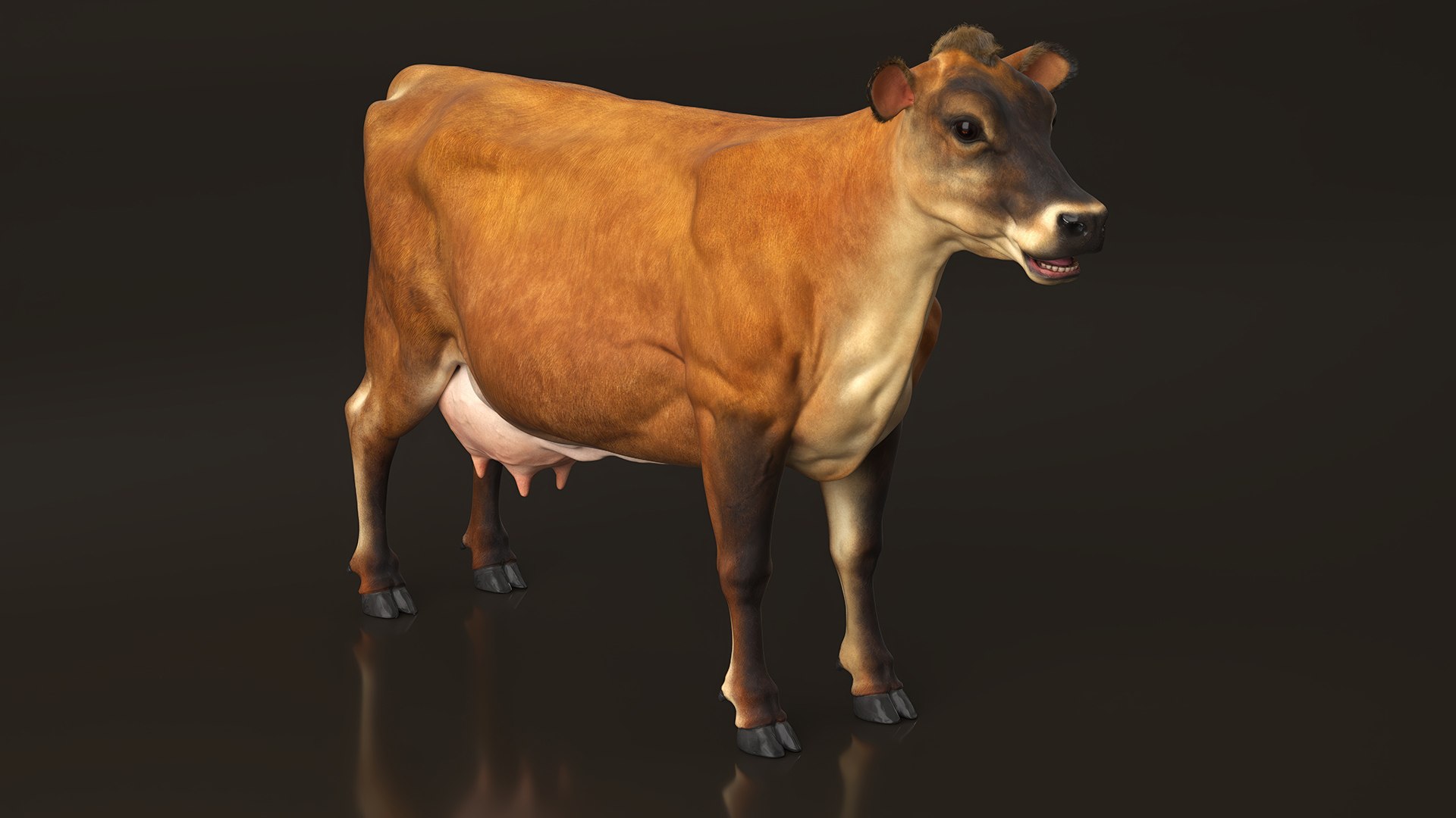 Jersey Dairy Cow Fur Rigged 3D - TurboSquid 2310063