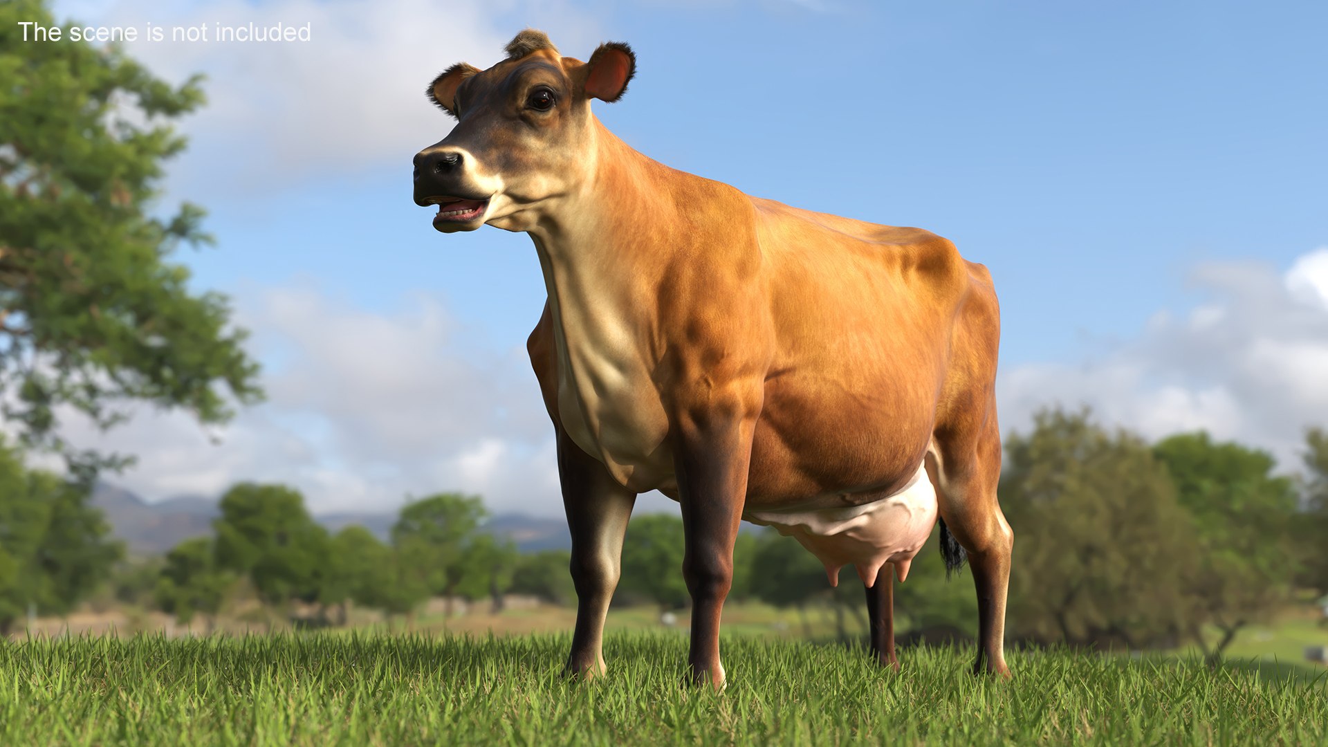 Jersey Dairy Cow Fur Rigged 3D - TurboSquid 2310063