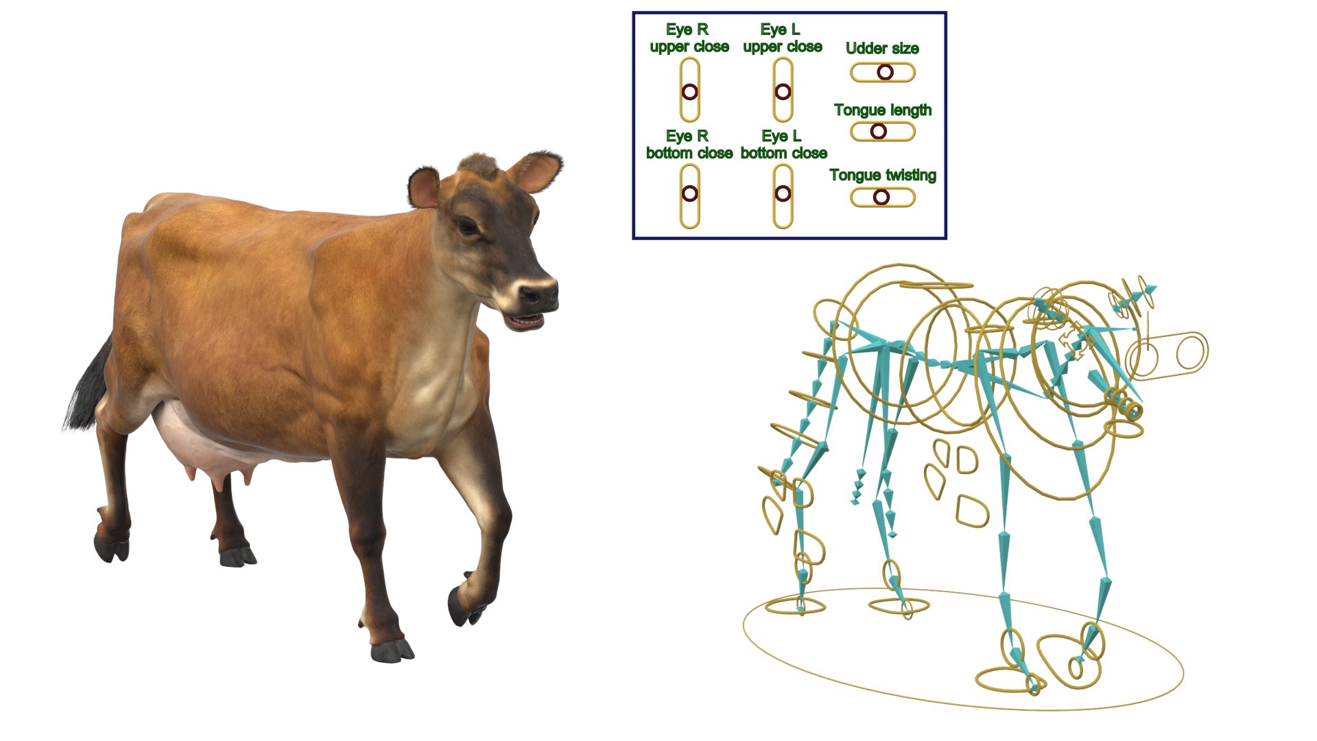 Jersey Dairy Cow Fur Rigged 3D - TurboSquid 2310063