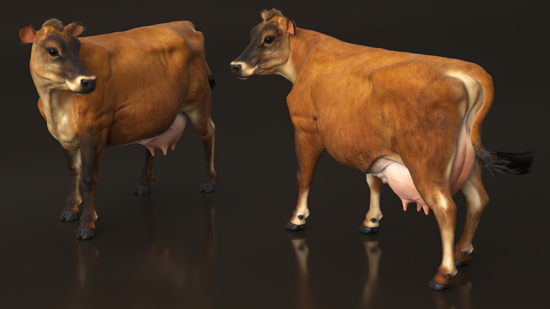 Jersey Dairy Cow Fur Rigged 3D - TurboSquid 2310063