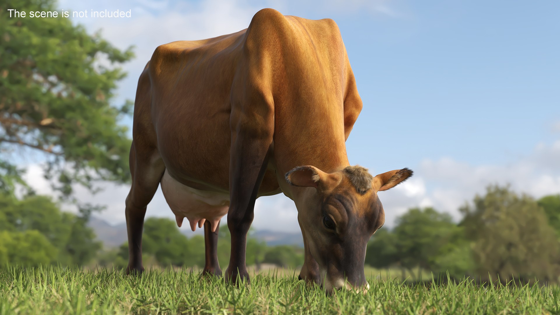 Jersey Dairy Cow Fur Rigged 3D - TurboSquid 2310063