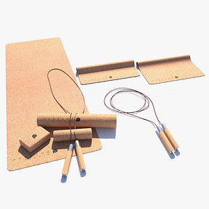 Paragon Studio Luxury Gym Equipment Yoga Set model