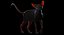 3D sphynx cat animations model