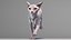 3D sphynx cat animations model