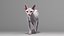 3D sphynx cat animations model