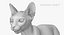 3D sphynx cat animations model