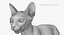 3D sphynx cat animations model