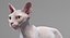 3D sphynx cat animations model