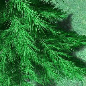 small_pine02