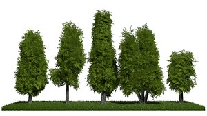 3D Five low poly trees R3