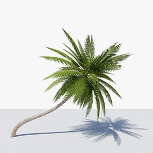 3D Lowpoly Date Palm v3