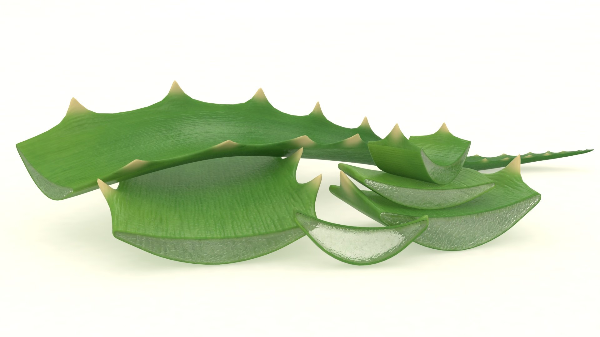 aloe plant vera 3D model https://p.turbosquid.com/ts-thumb/ty/XovRaJ/40/1/jpg/1618291229/1920x1080/fit_q87/8f7f1d400f76fc9312ebe8bda86171f9d0484acc/1.jpg