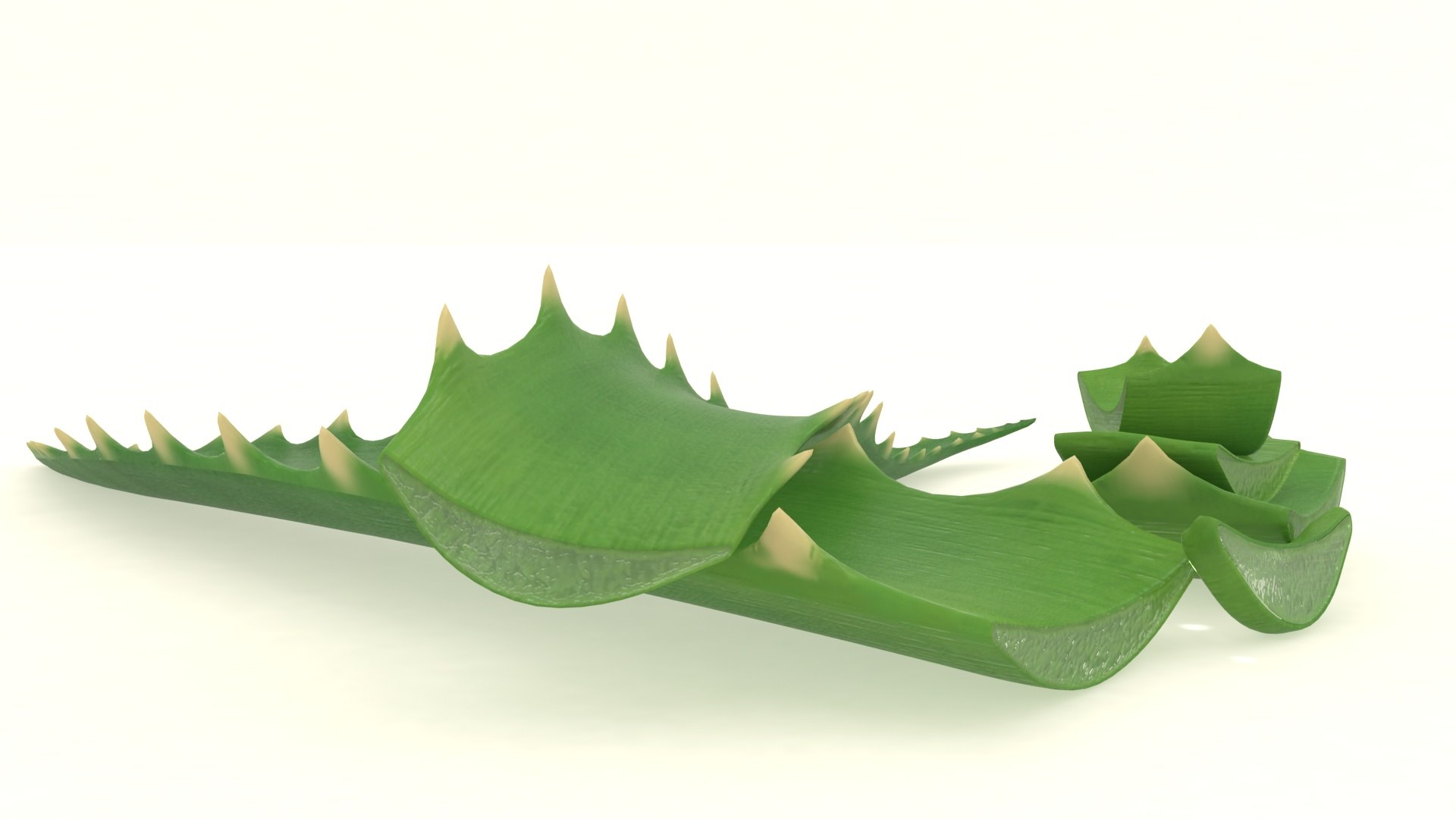 aloe plant vera 3D model https://p.turbosquid.com/ts-thumb/ty/XovRaJ/8G/2/jpg/1618291227/1920x1080/fit_q87/8534a9017ddf6895221cf8427311823def4e81eb/2.jpg