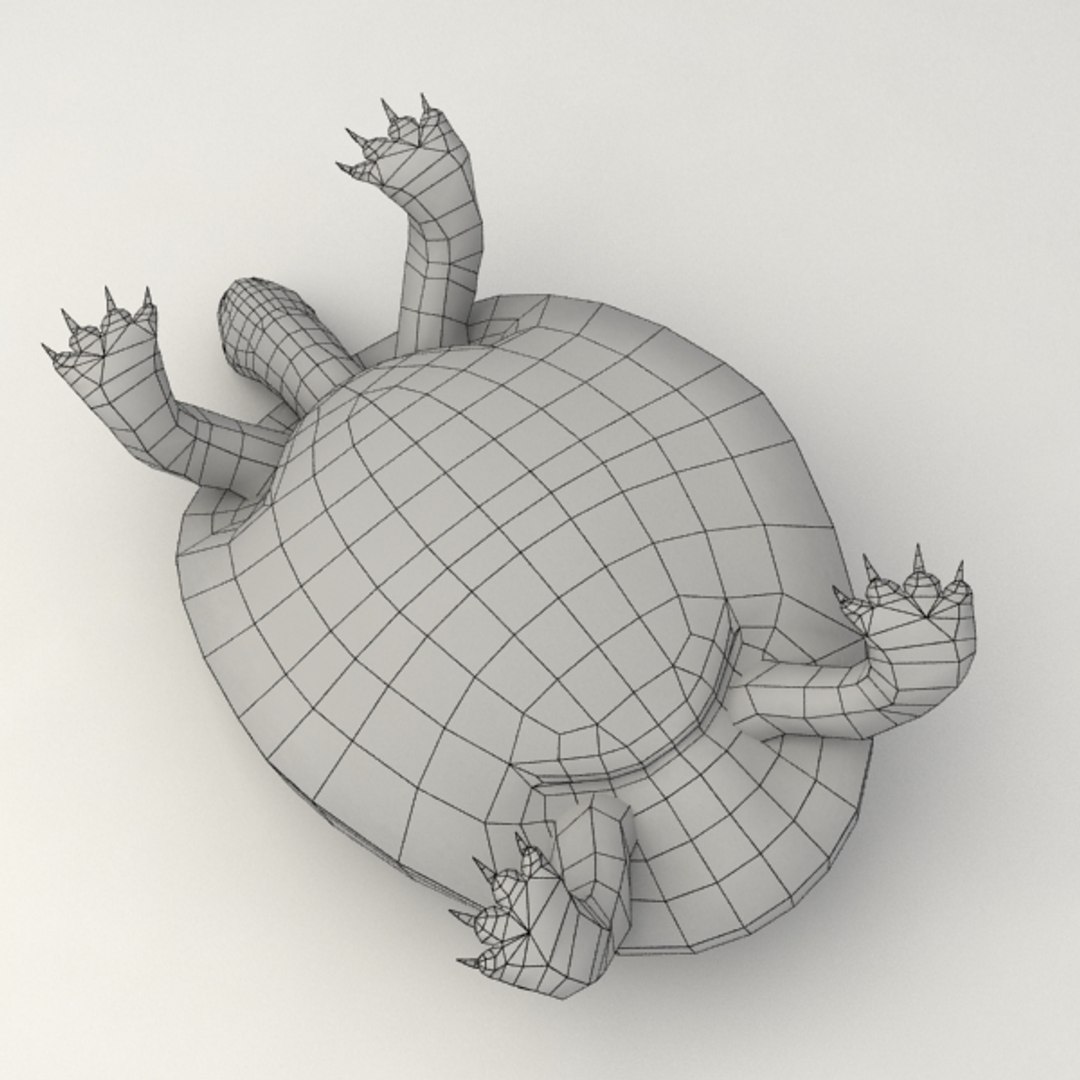 3d Turtle Rigged Biped