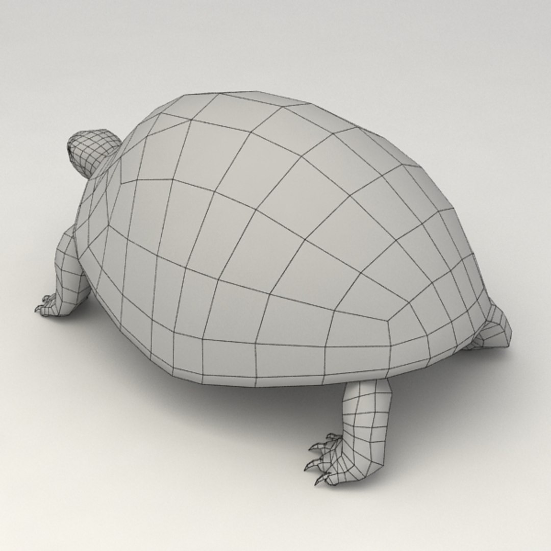 3d Turtle Rigged Biped