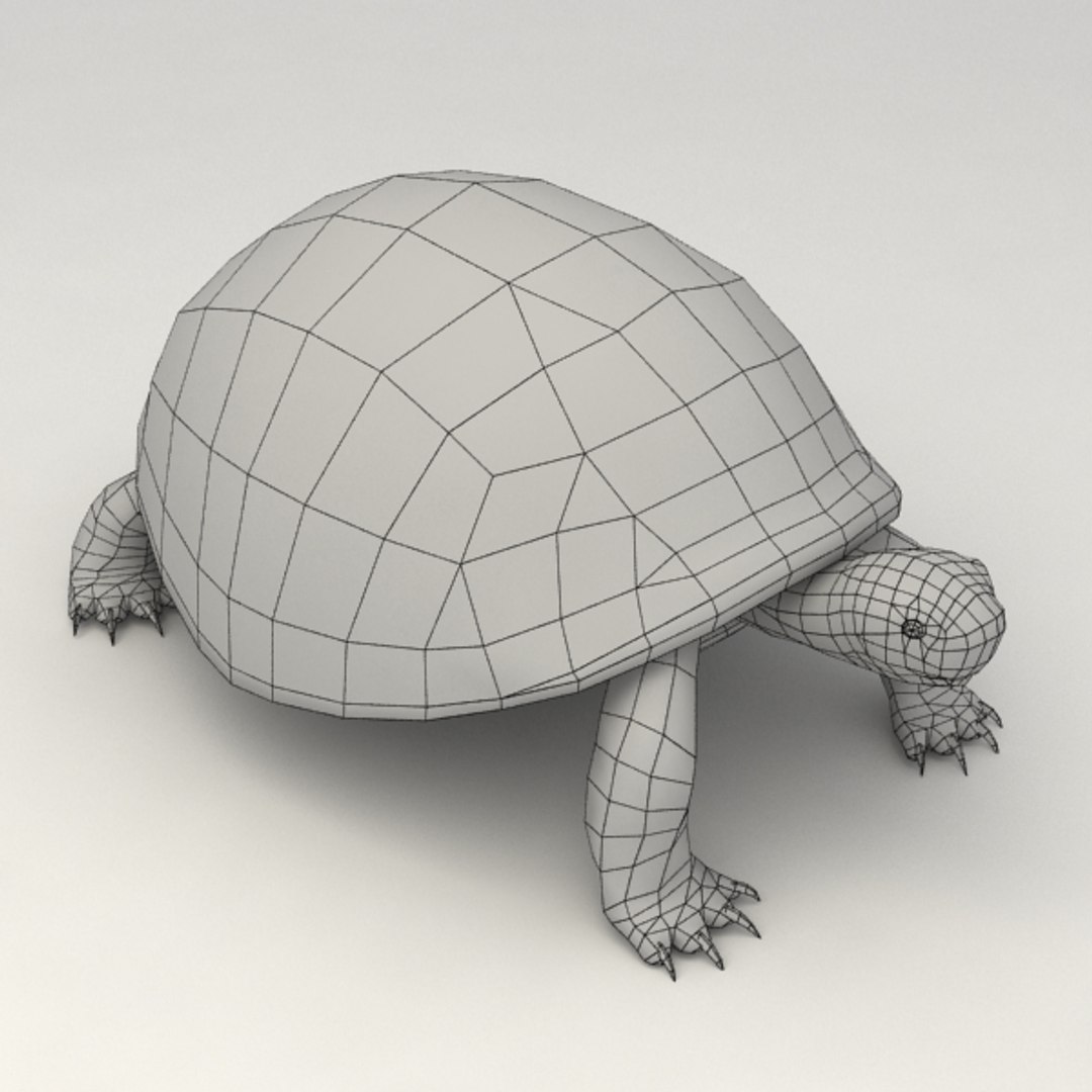 3d Turtle Rigged Biped