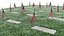 Military Graveyard Fur 3D