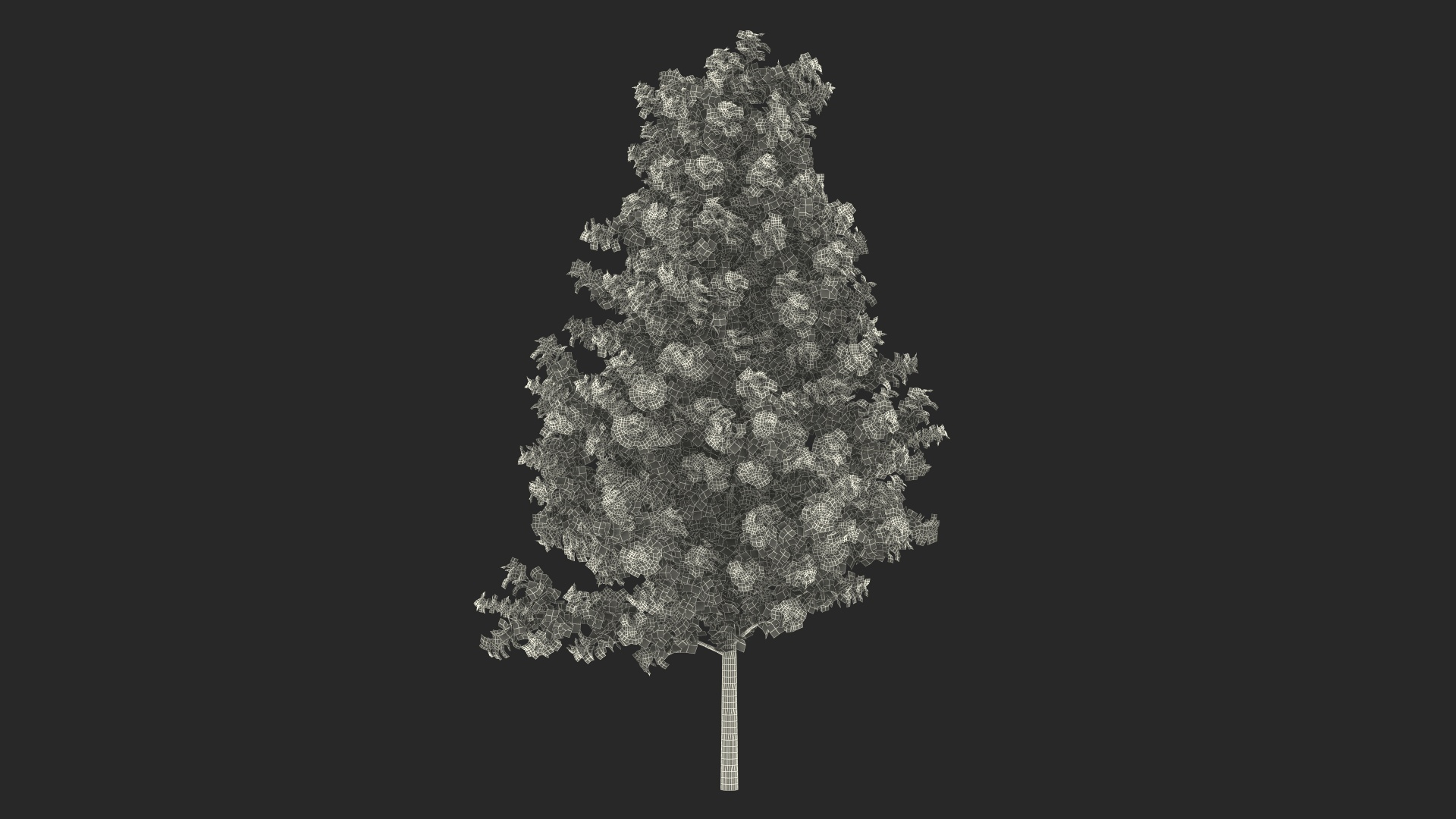 3D Realistic Young Poplar Tree Model - TurboSquid 2230549