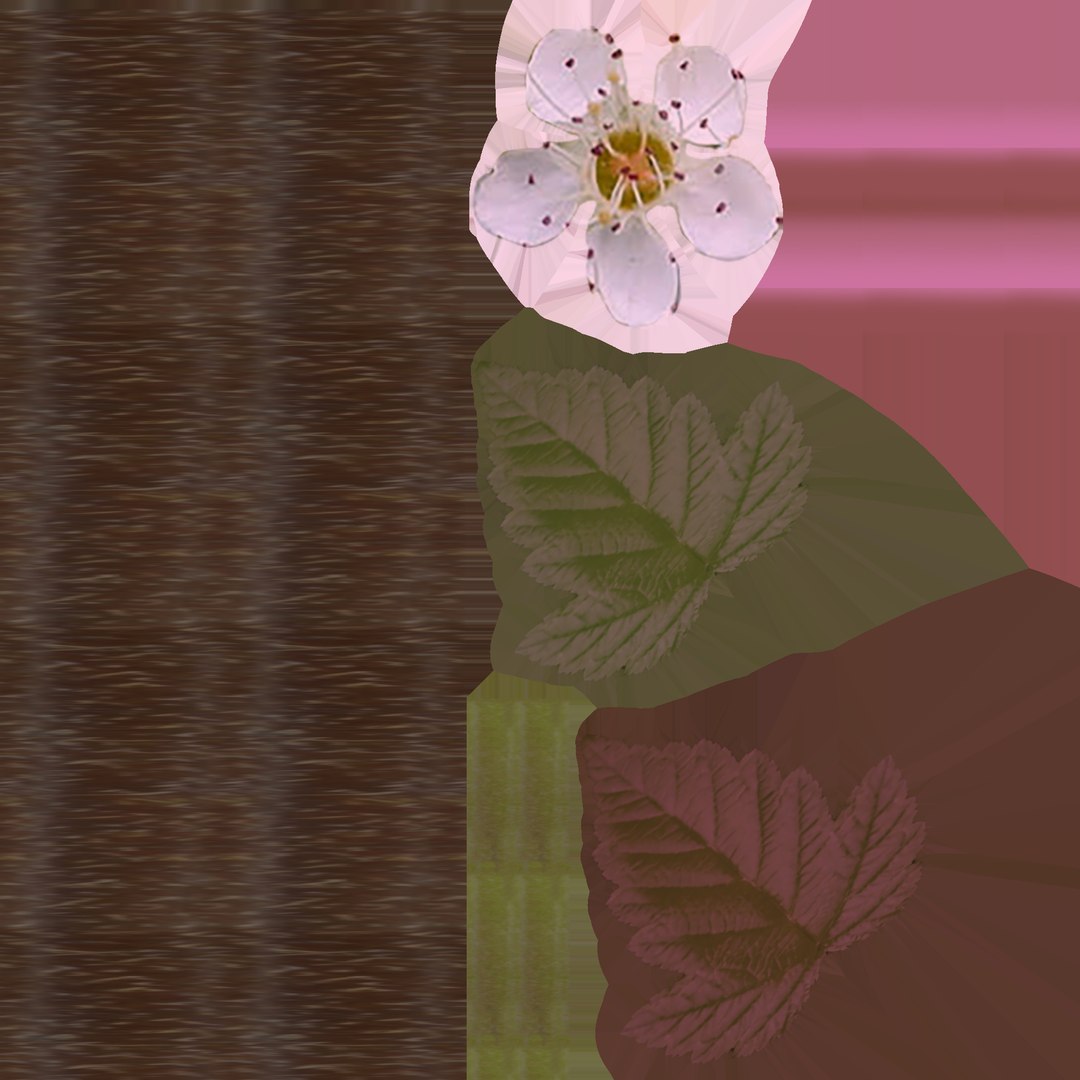 Tiny Wine Ninebark Shrub 3D model https://p.turbosquid.com/ts-thumb/ty/qguXPA/Nb/uvpurple_pink_flowering/png/1719405570/1920x1080/fit_q87/8293234a541677e13983e9bf2d15918d19484f9c/uvpurple_pink_flowering.jpg