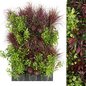 Collection plant vol 243 - grass - leaf 3D