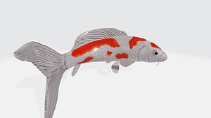 3D Koi fish model