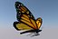 monarch butterfly animation 3d model