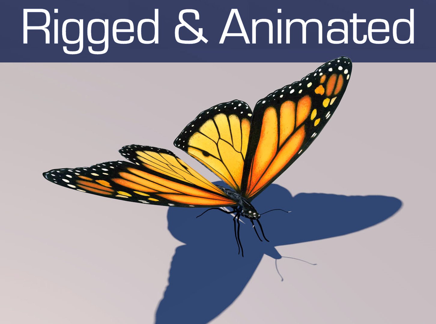 monarch butterfly animation 3d model https://p.turbosquid.com/ts-thumb/tz/4RVDa5/VoFappgz/butterfly1/jpg/1489037047/1920x1080/fit_q87/47de421b1dc92e4ae50472fa12076dcad1785a52/butterfly1.jpg