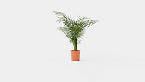 Collection of Houseplants - 6 Models 3D model