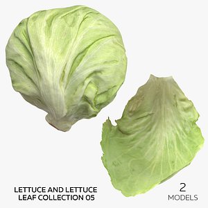 3D Lettuce and Lettuce Leaf Collection 05 - 2 models model