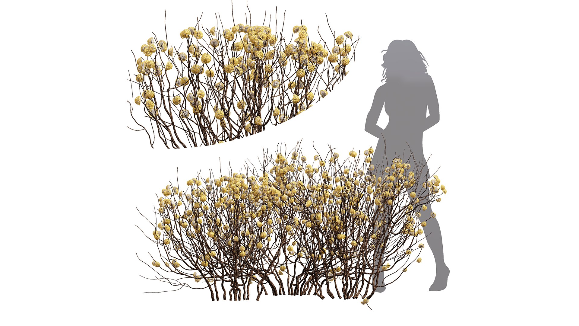 8Different SETS Of Bush Set Vol 46 3D - TurboSquid 2241337