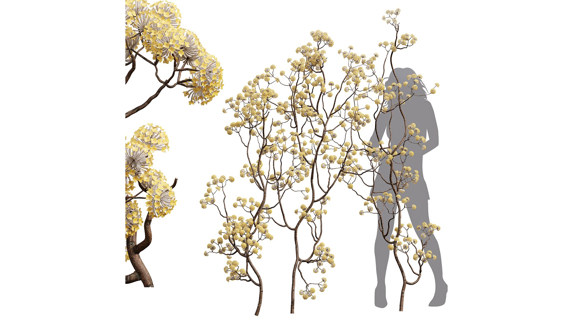 8Different SETS Of Bush Set Vol 46 3D - TurboSquid 2241337