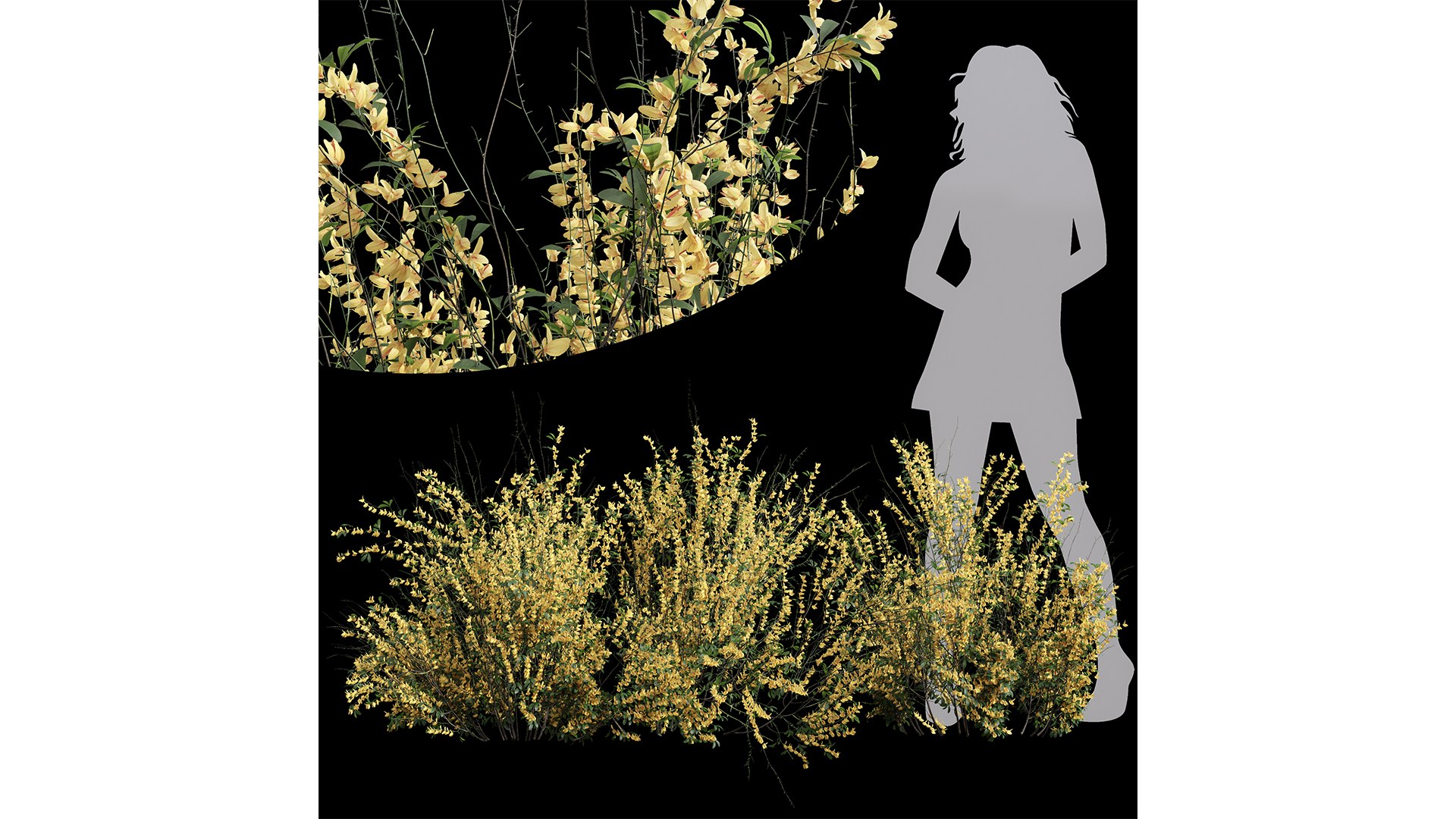 8Different SETS Of Bush Set Vol 46 3D - TurboSquid 2241337