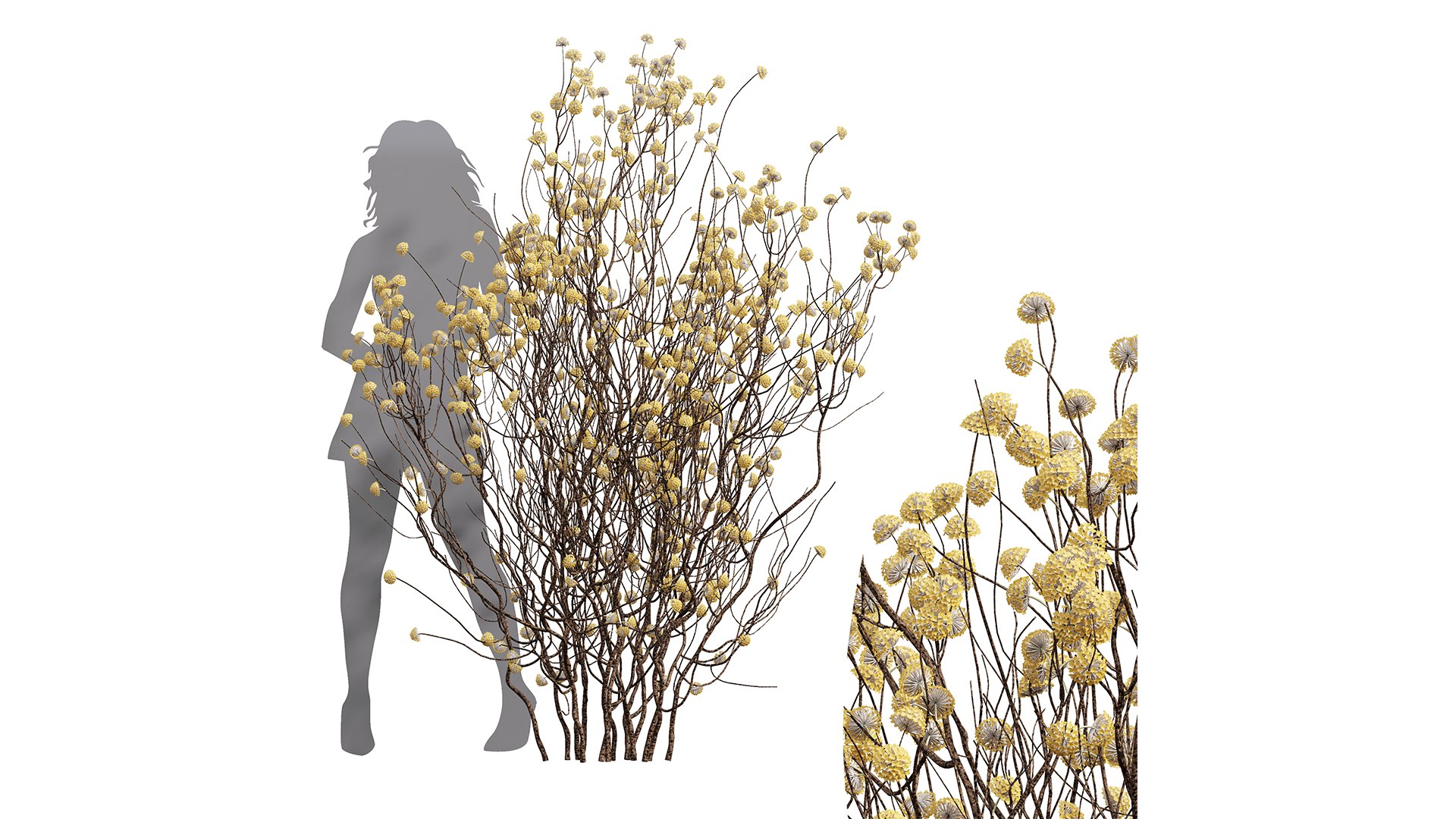 8Different SETS Of Bush Set Vol 46 3D - TurboSquid 2241337