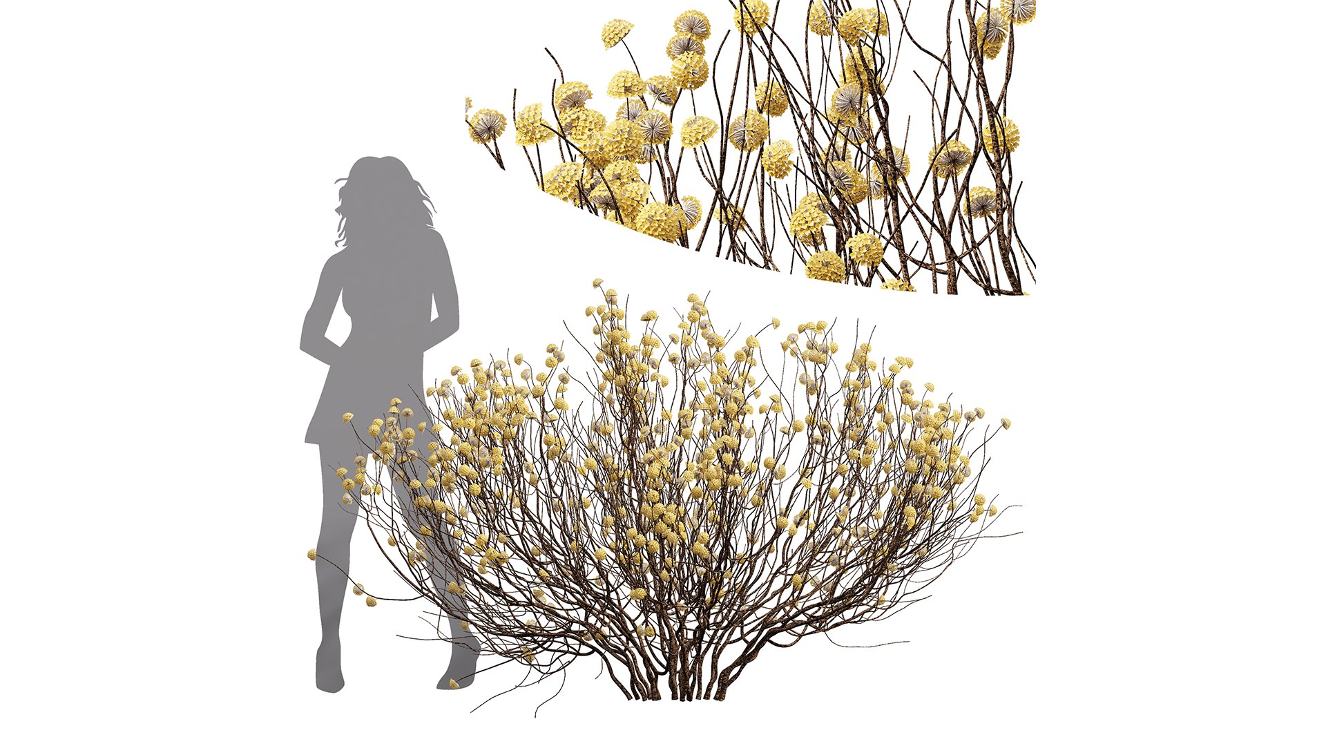 8Different SETS Of Bush Set Vol 46 3D - TurboSquid 2241337