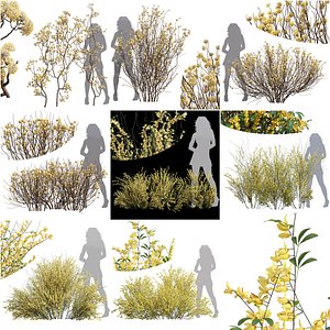 8Different SETS of Bush Set Vol 46 3D