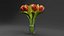 Tulips vase in gasspot