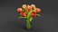 Tulips vase in gasspot