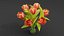Tulips vase in gasspot
