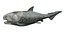 Dunkleosteus rigged