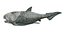 Dunkleosteus rigged