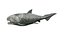 Dunkleosteus rigged