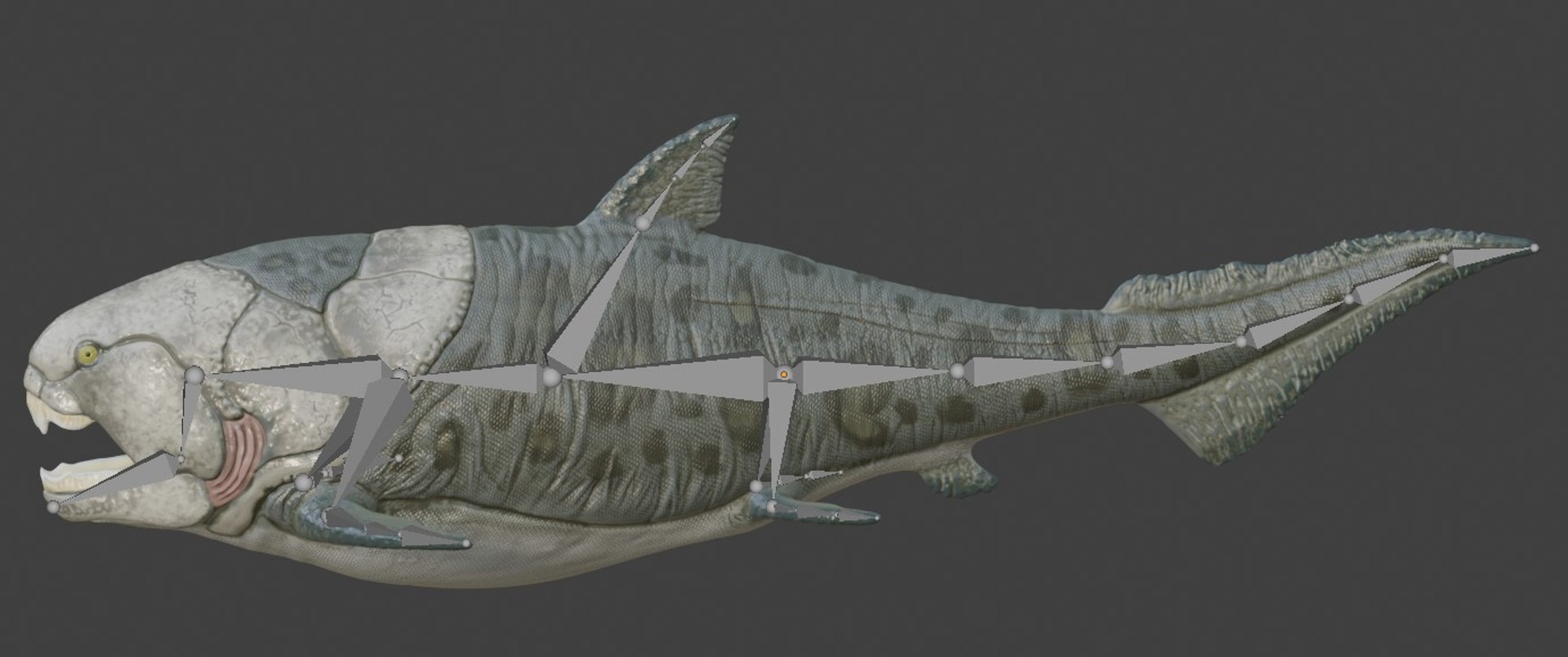 Dunkleosteus rigged 3D model https://p.turbosquid.com/ts-thumb/tz/VkE6Ti/Ea/bones/jpg/1757561678/1920x1080/fit_q87/6b3690ca68205988da50dd30cdc314cc53955611/bones.jpg